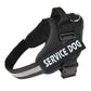 Customized Comfortable Name/Number Dog Harness